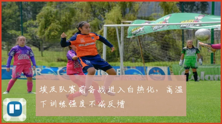 埃及队赛前备战进入白热化,高温下训练强度不减反增 - 彩客网推荐