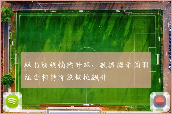 双打防线悄然升级,数据揭示国羽组合相持阶段韧性飙升 - 彩客网推荐
