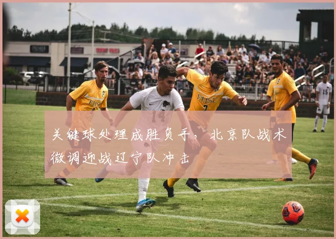 关键球处理成胜负手，北京队战术微调迎战辽宁队冲击 - 彩客网推荐