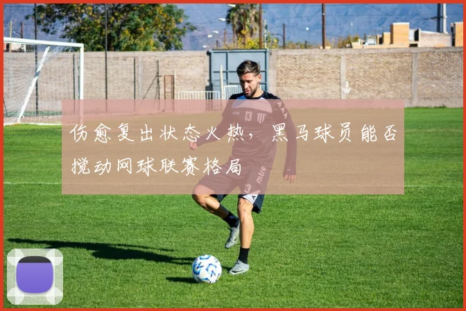 伤愈复出状态火热，黑马球员能否搅动网球联赛格局 - 彩客网推荐
