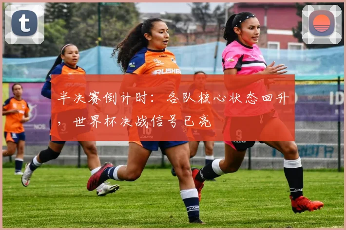 半决赛倒计时:各队核心状态回升,世界杯决战信号已亮 - 彩客网推荐