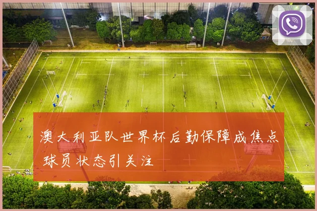 澳大利亚队世界杯后勤保障成焦点 球员状态引关注 - 彩客网推荐