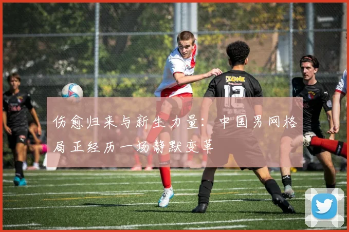 伤愈归来与新生力量:中国男网格局正经历一场静默变革 - 彩客网推荐